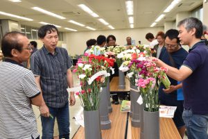 サンプルカーネーションを確認する生産者ら