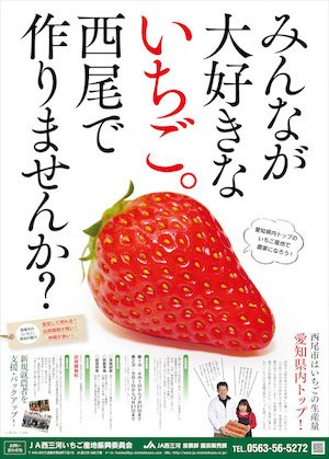 いちご新規就農支援プロジェクト「いちごスクール」 2019年夏より本格