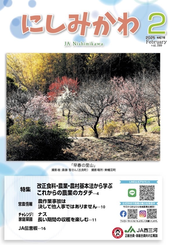 2025年2月号