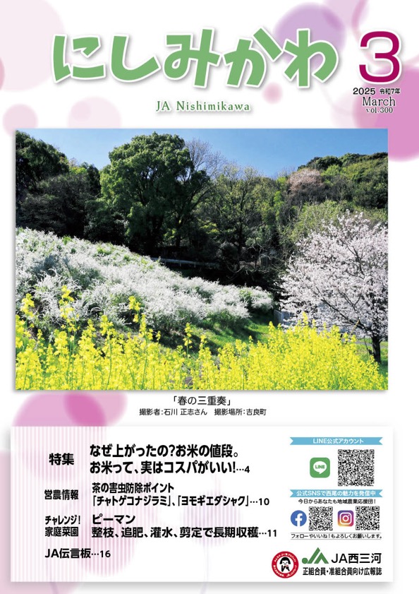 2025年3月号