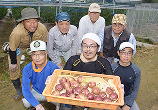 露地いちじく専門新規就農者向け講座「いちじくスクール」