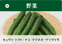 野菜