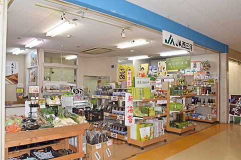 さかなセンター