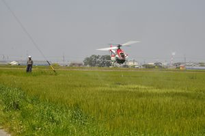 4~5月には、麦の赤かび病予防のための防除を無人ヘリで行っています。6月の収穫に向けた大切な作業です。