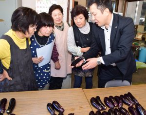 サンプルのナスを基に選別基準を説明する市場担当者と、説明を受ける選荷人