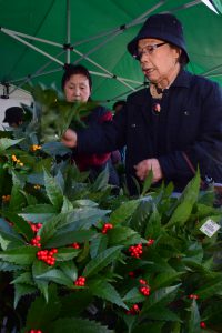 千両を買い求める来場者