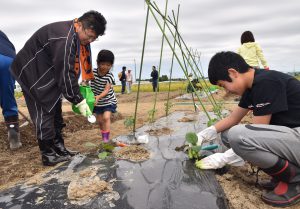 協力して野菜作りに取り組む参加家族