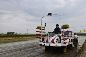 田植えに取り組む農家の倉内穂高さん