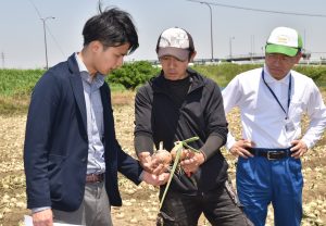 葉切り具合を確認する三上さん(中央)ら
